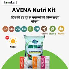 Avena NutrMix